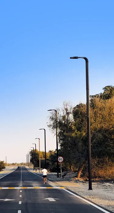 /uploads/20250415/high-power_solar_led_street_light.webp